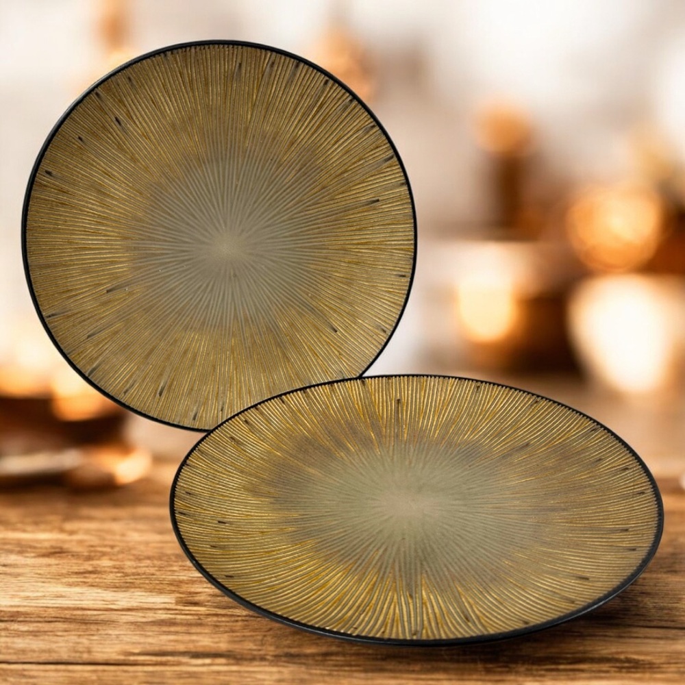 Vintage Joseph Abboud Ventana Environments 11.5” Dinner Plates - Set of 2
